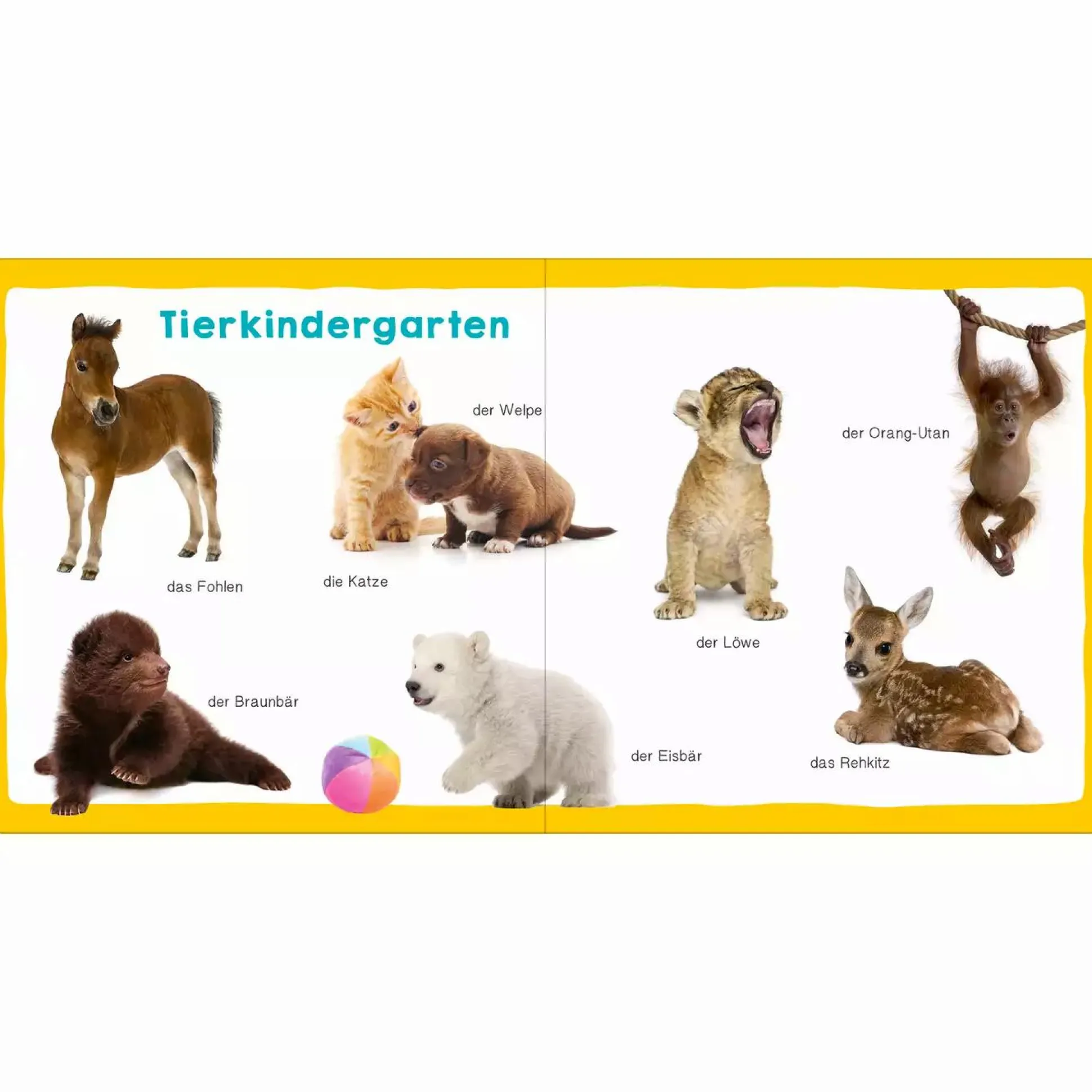 Meine ersten 100 Tiere