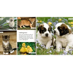 Meine liebsten Tierbabys