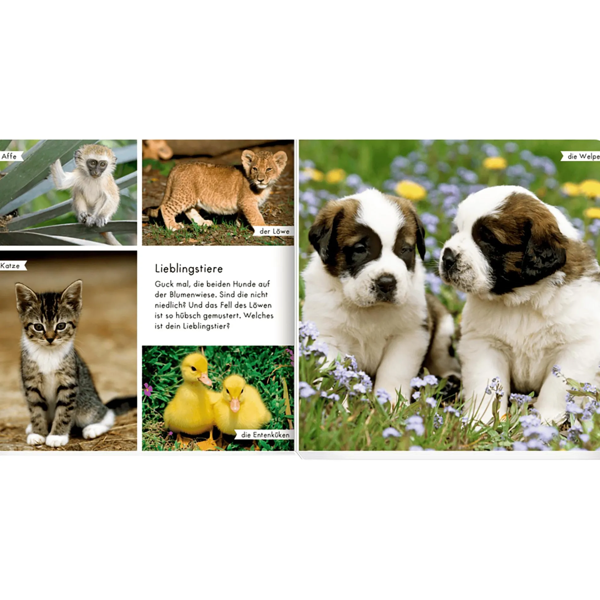 Meine liebsten Tierbabys