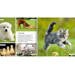 Meine liebsten Tiere auf dem Bauernhof