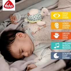 Mini-Spieluhr Schildkröte