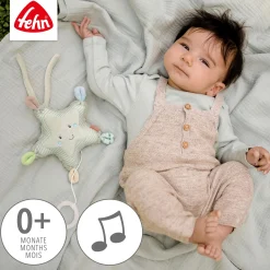 Mini-Spieluhr Seestern