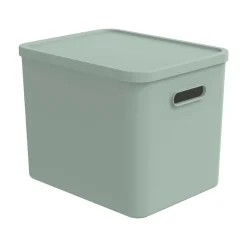 Multi Box L Kayo Grün