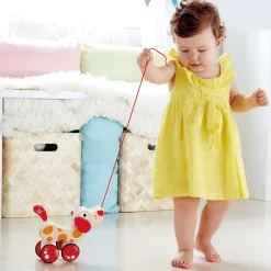 Nachziehtier Hund Pepe