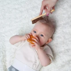 Natürliche Rosshaarbürste