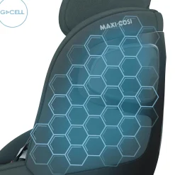 Pearl 360 Authentic Graphite