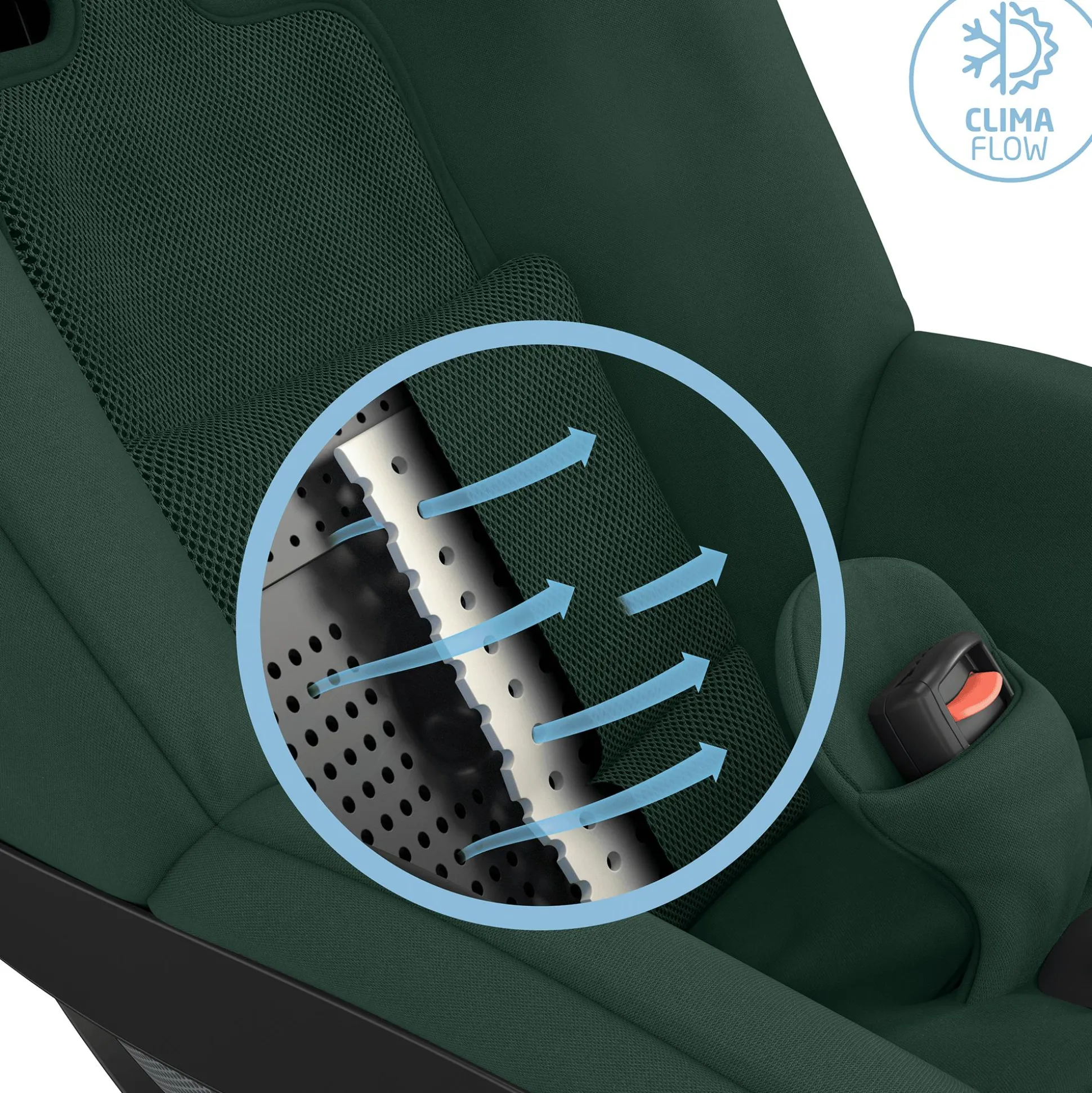 Pearl 360 Authentic Green