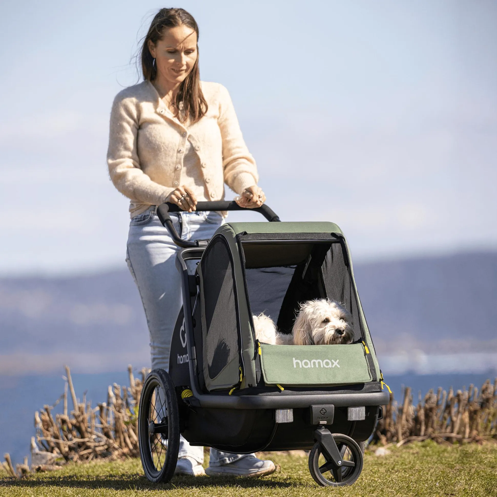 Pluto M Hundefahrradanhänger