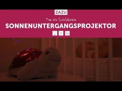 Projektor Tim die Schildkröte