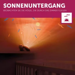 Projektor Tim die Schildkröte