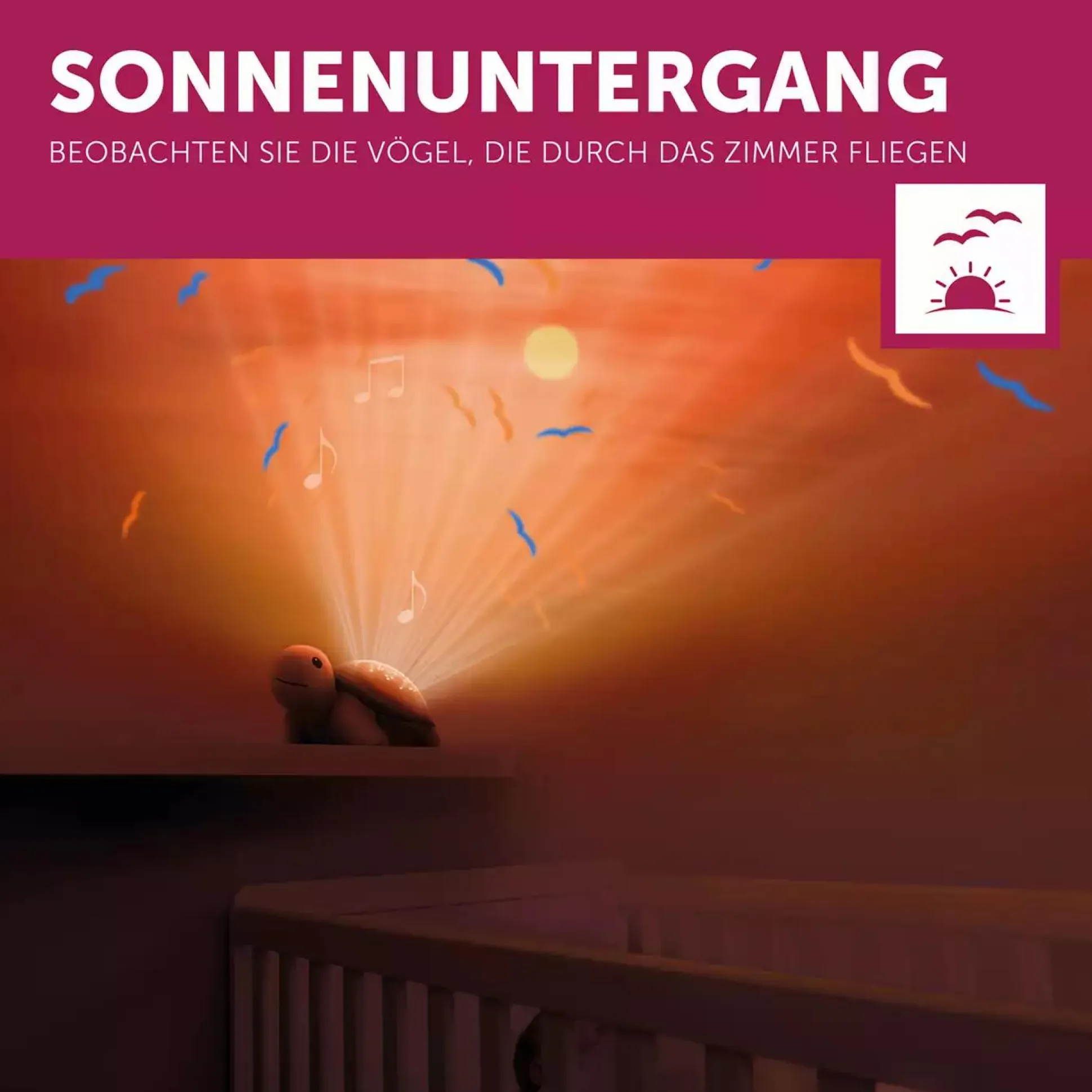 Projektor Tim die Schildkröte