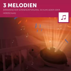 Projektor Tim die Schildkröte