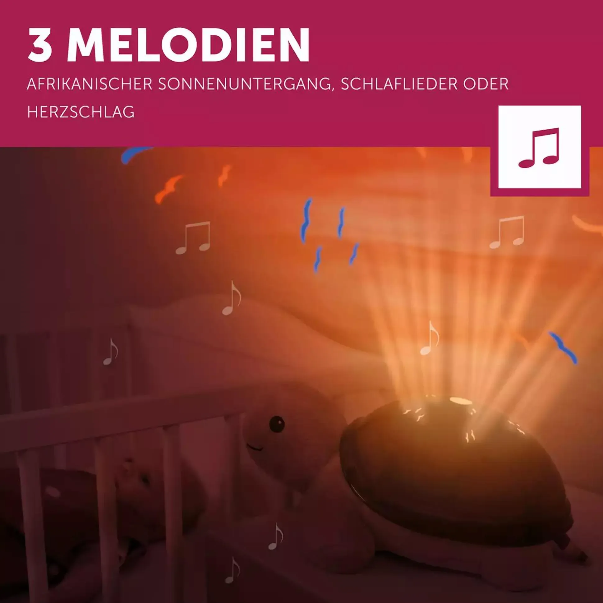 Projektor Tim die Schildkröte