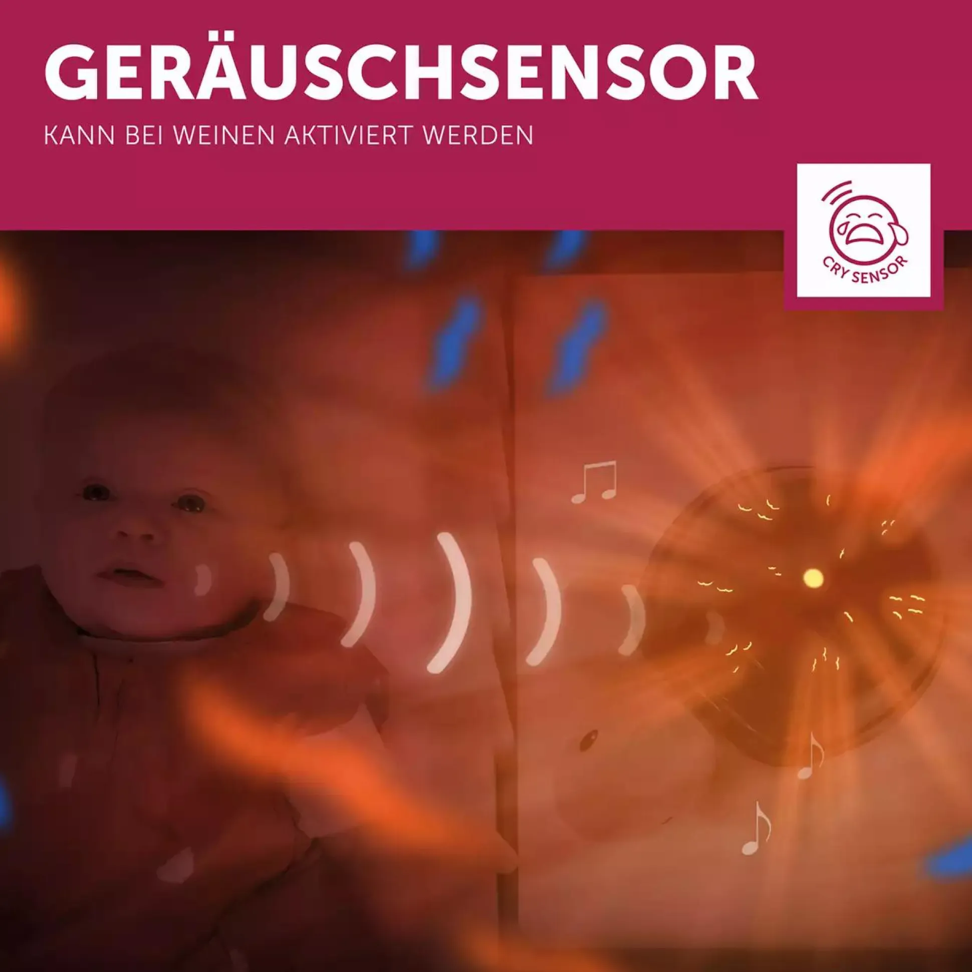 Projektor Tim die Schildkröte