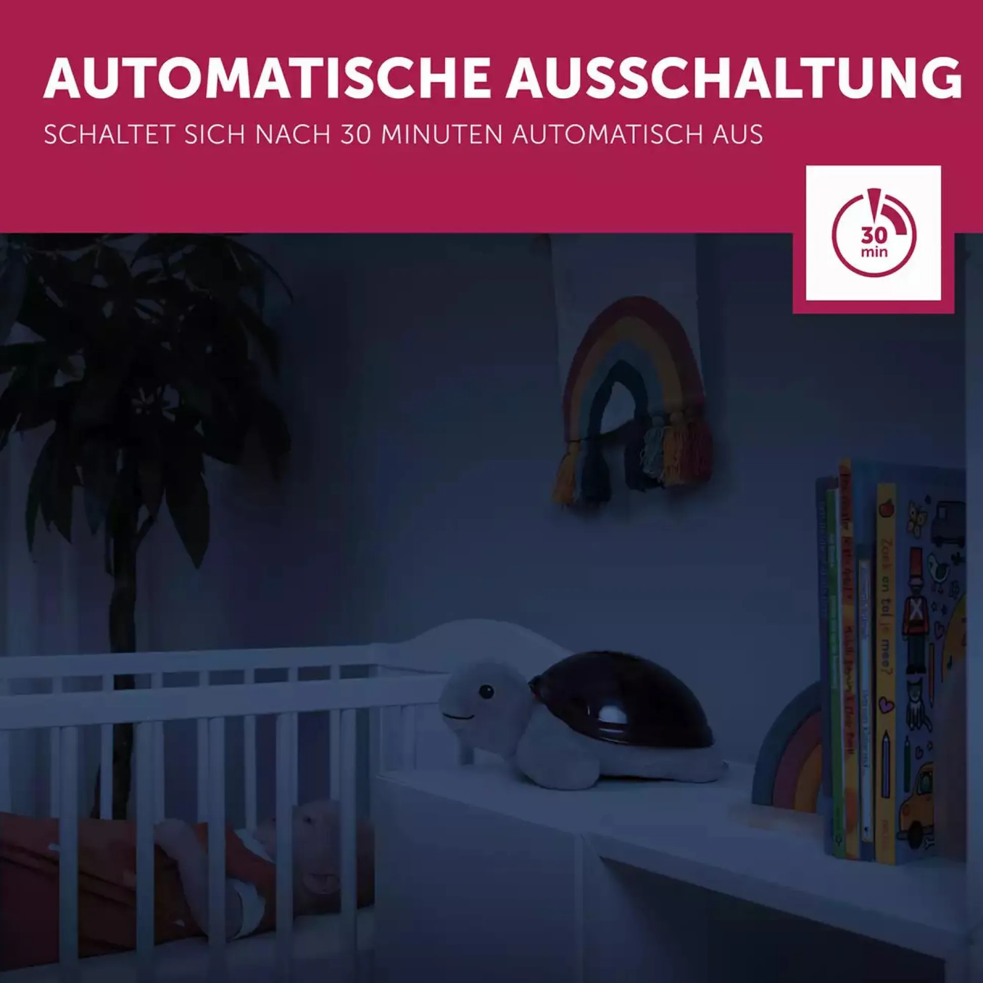 Projektor Tim die Schildkröte