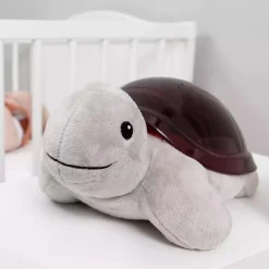 Projektor Tim die Schildkröte