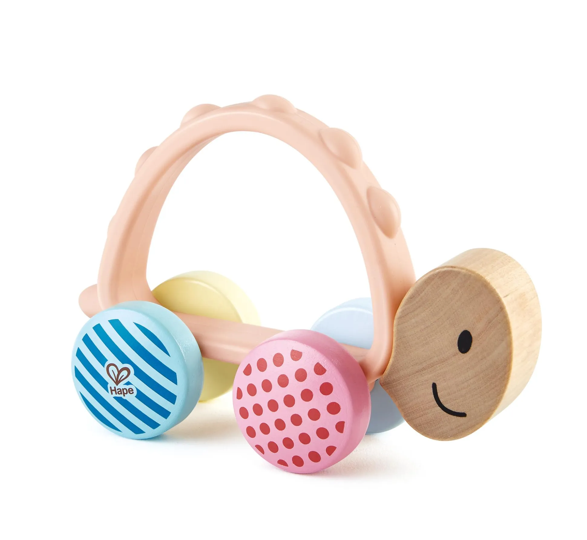 Rennschildkröte Rike