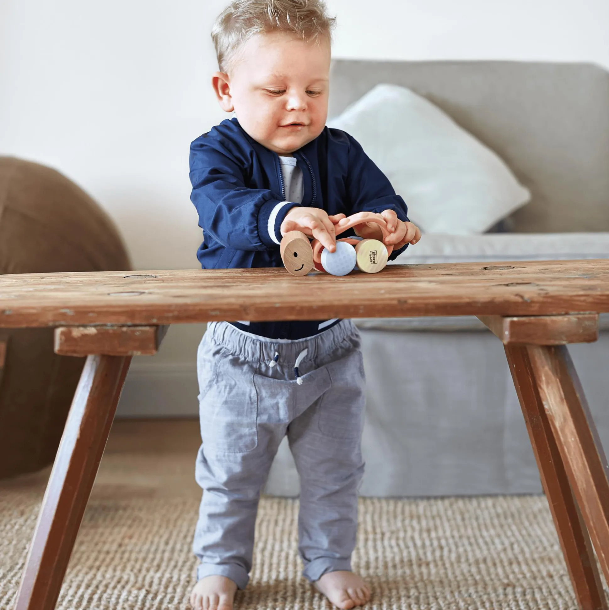 Rennschildkröte Rike