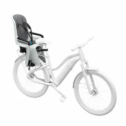 RideAlong 2 Light Grey