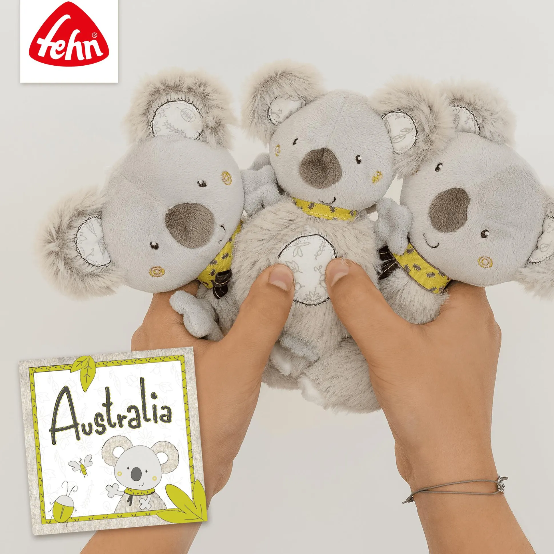 Ring-Greifling Koala