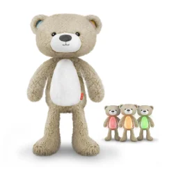 Schlaftrainer Brody der Bär