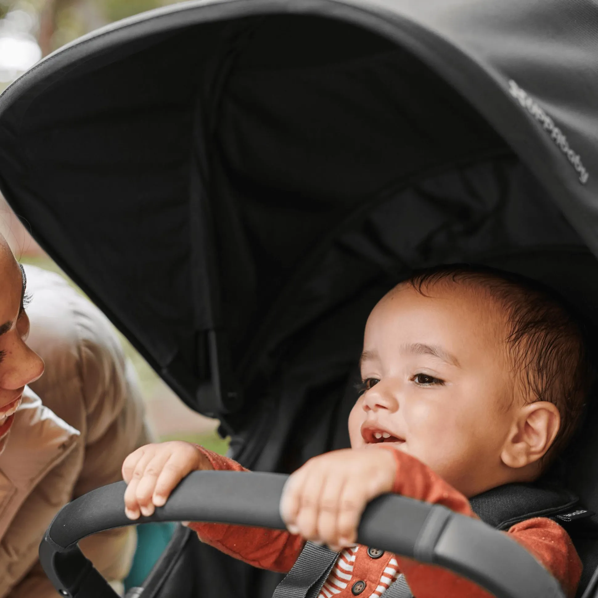 Sicherheitsbügel Ridge