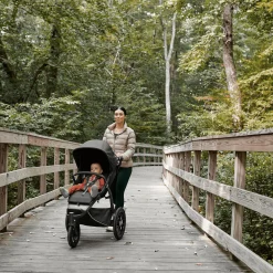 Sicherheitsbügel Ridge