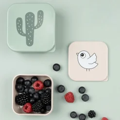 Snackbox-Set Lalee