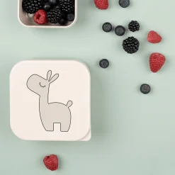 Snackbox-Set Lalee