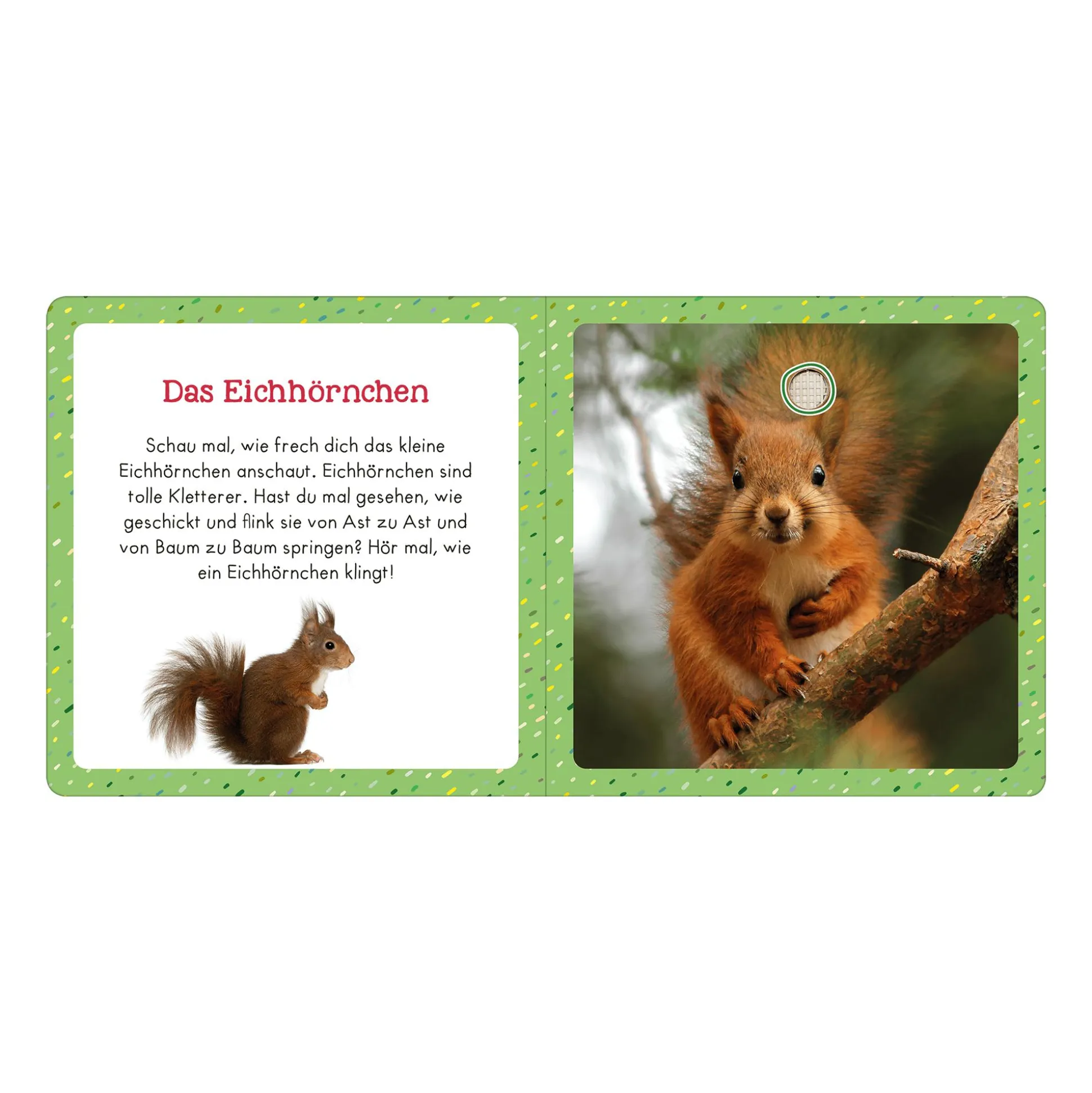 Soundbuch für Klitzekleine – Lieblingstiere