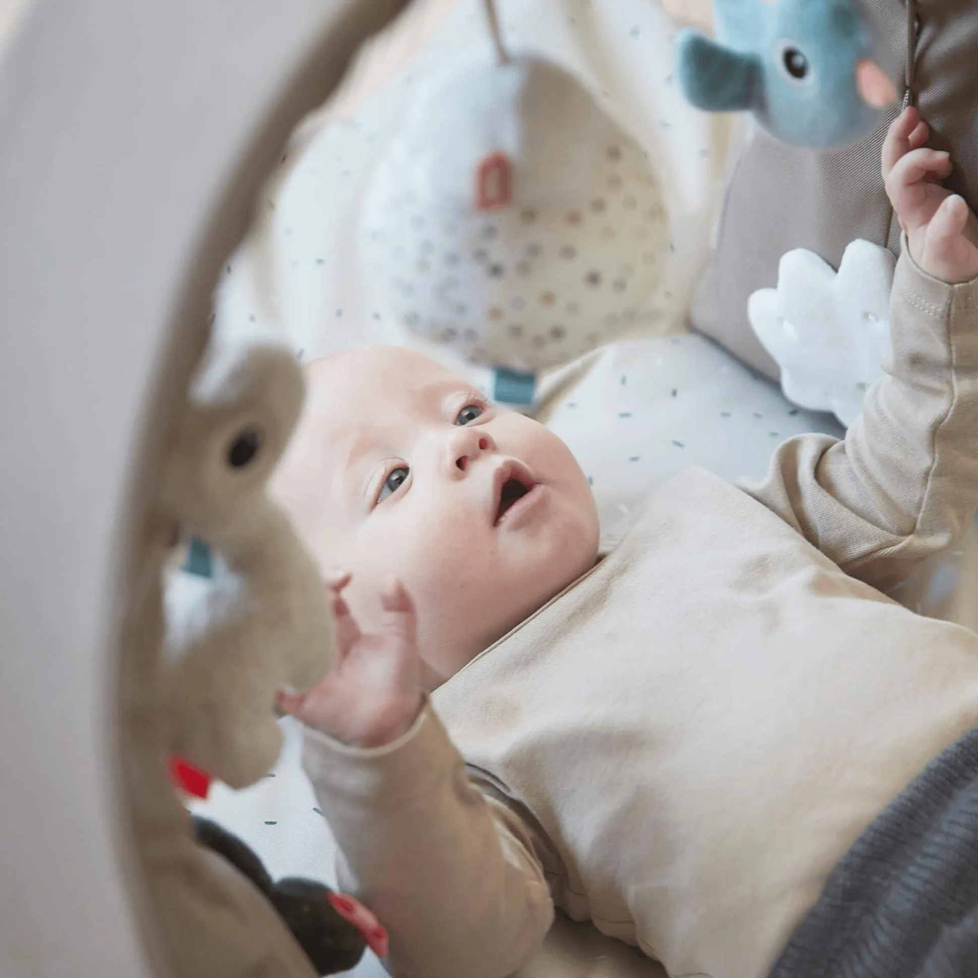 Spielbogen Activity Gym