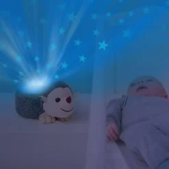 Sternprojekter Harry der Igel