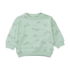 Sweatshirt Dino