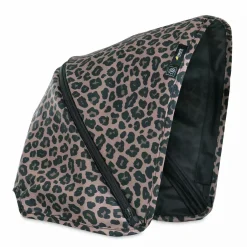 Swift X Sonnenverdeck Leo