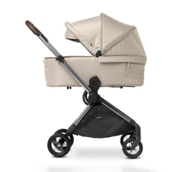 Tragewanne M.6x Lion