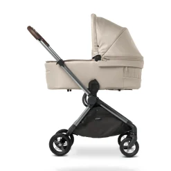 Tragewanne M.6x Lion