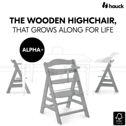 Treppenhochstuhl Alpha+ Grey