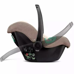 Tulip Fashion Nature