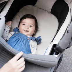 Vinca™ Evergreen inkl. Ramble™ XL