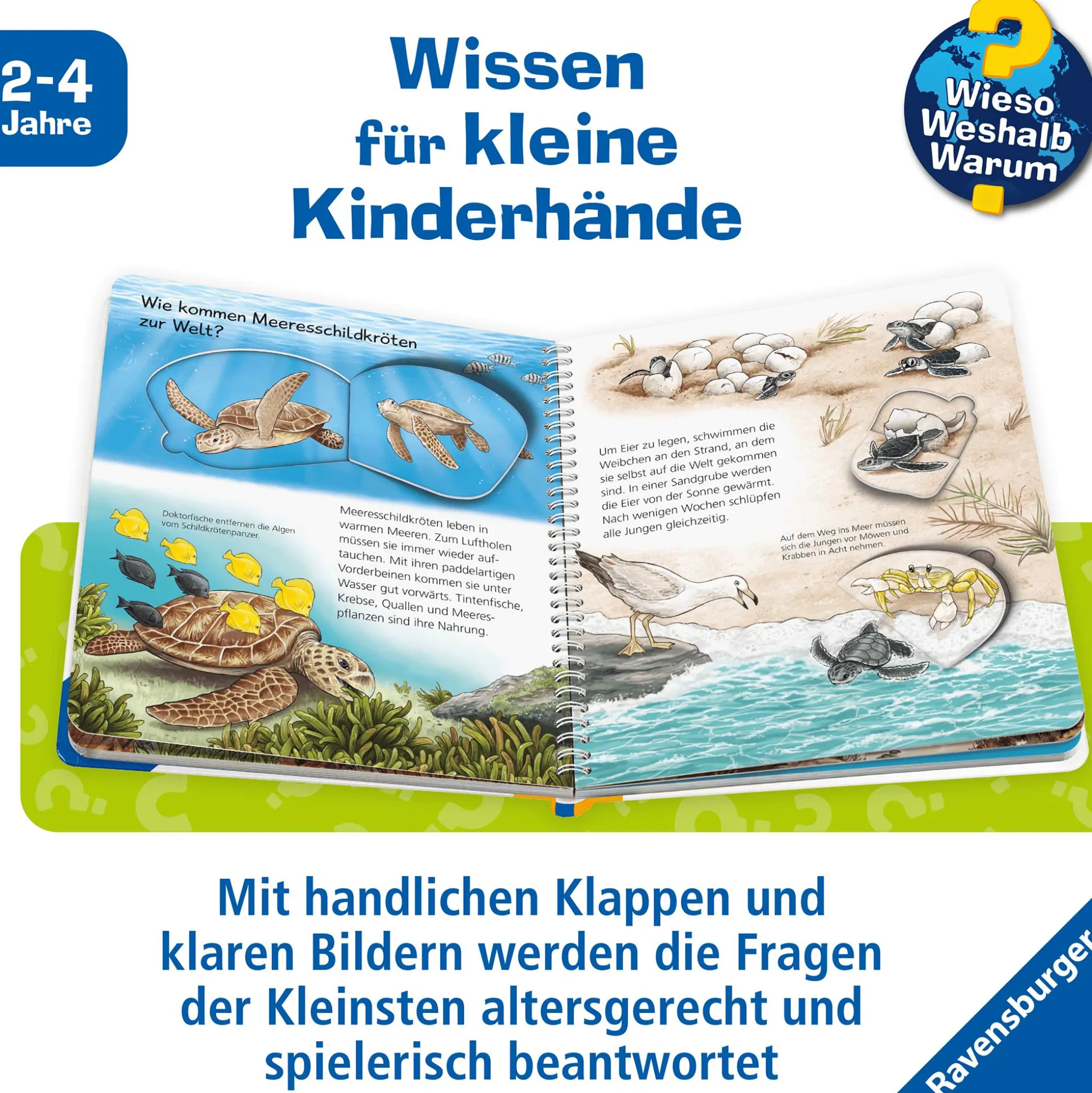 Wieso? Weshalb? Warum? Die Ozeane