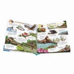 Wieso? Weshalb? Warum? Mein ABC der Tiere