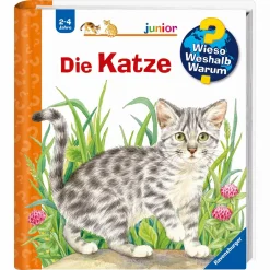 WWW junior Die Katze