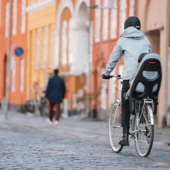 Yepp 2 Maxi Gepäckträgermontage Alaska