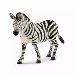 Zebra Stute