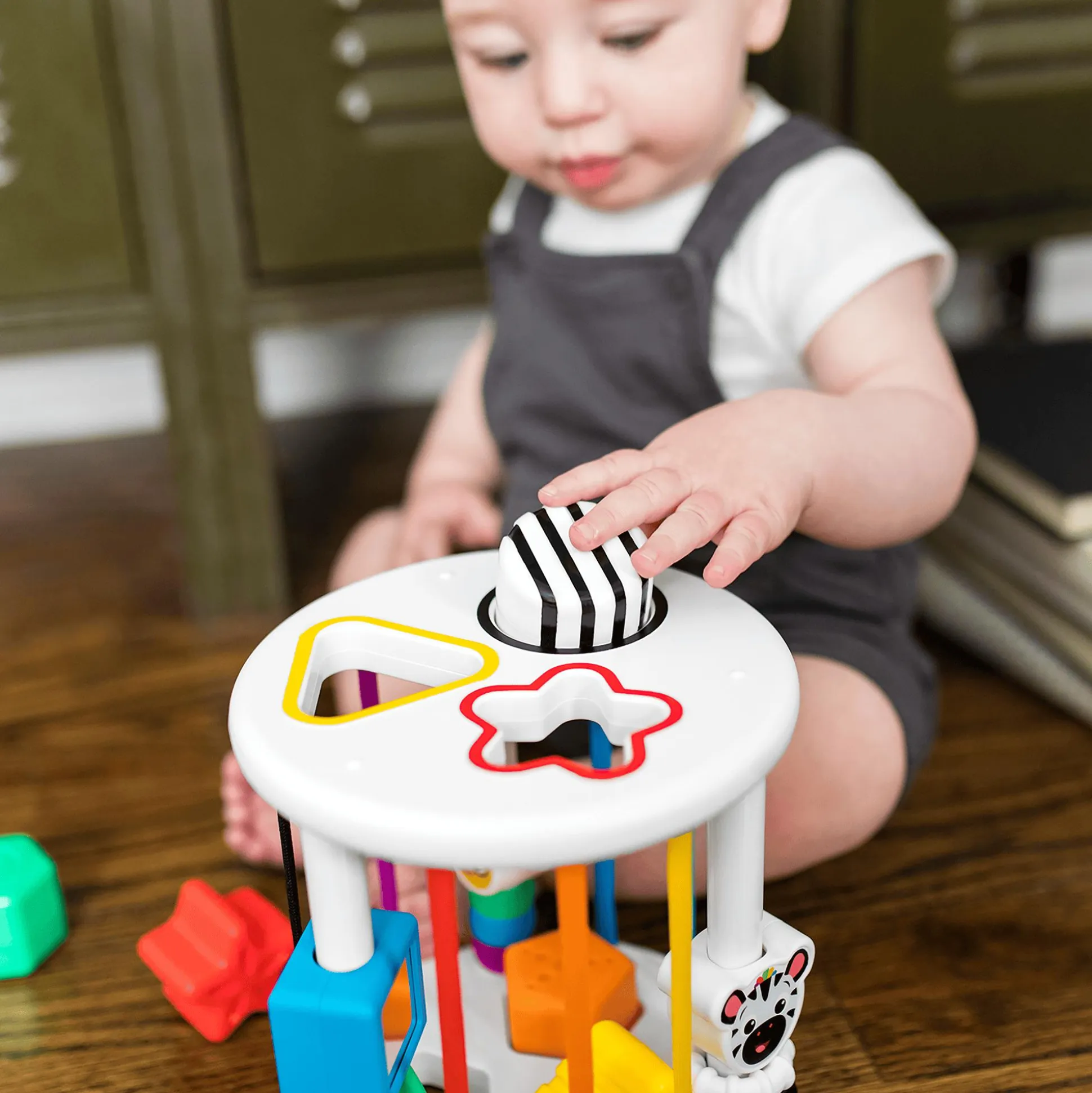 Zen & Cals Spielplatz