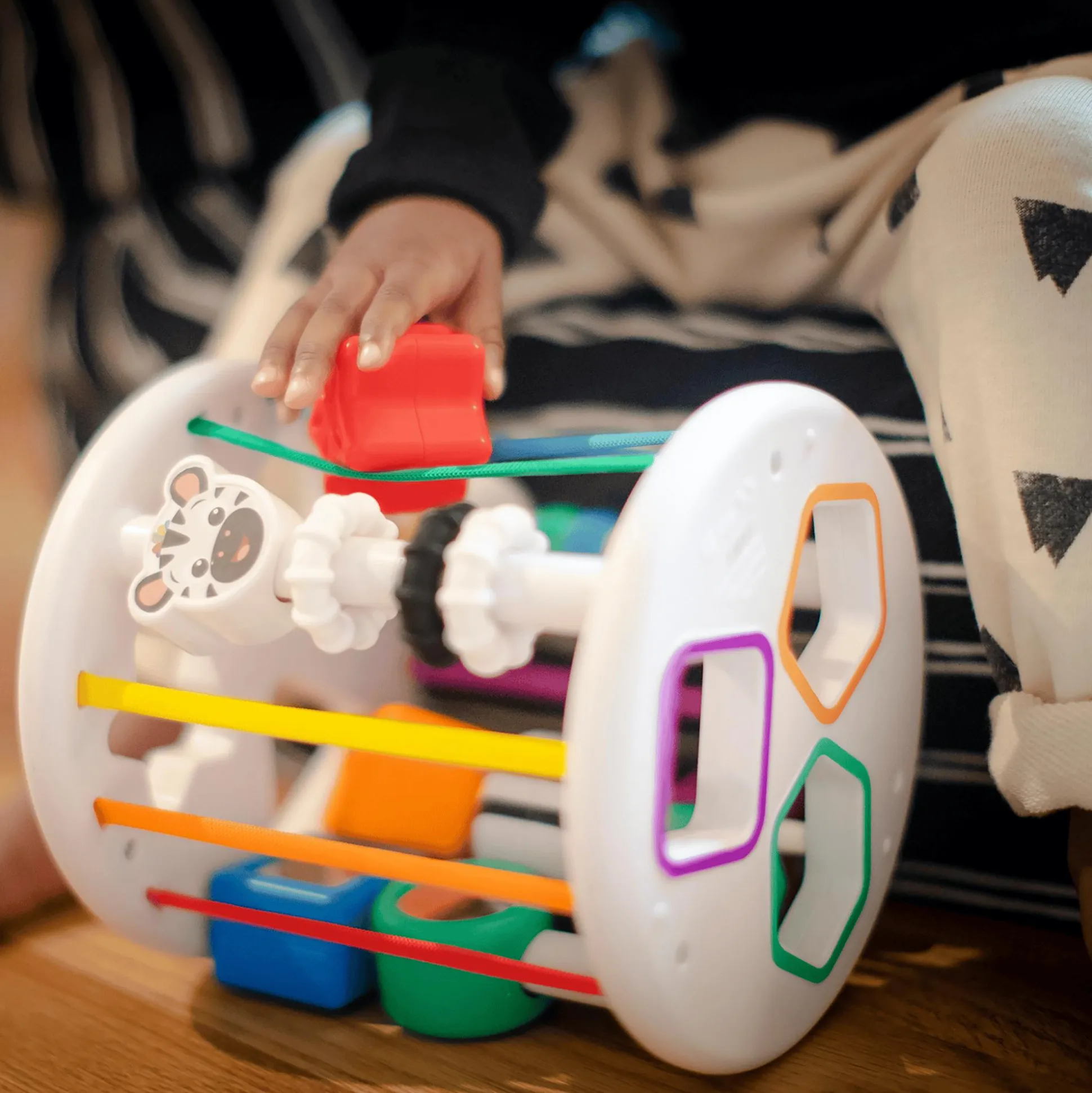 Zen & Cals Spielplatz